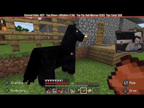 Minecraft "MAJOR Chill Stream" Jan. 18, 2019 pt3 - Building Paths and Horse Adventures