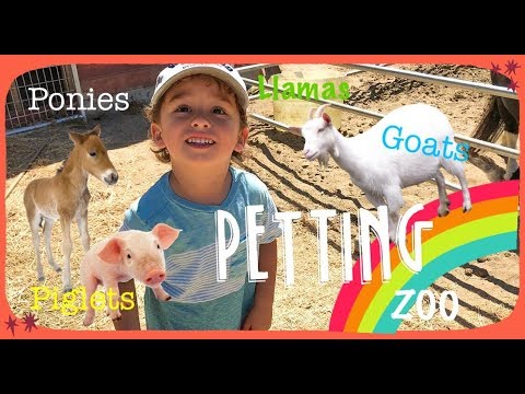 Farm animals for kids - Visiting a Petting Zoo - Videos for toddlers