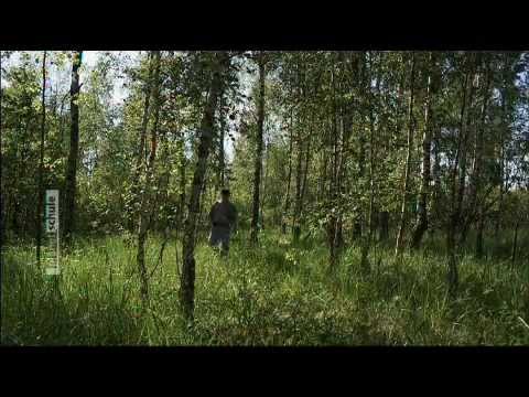WDR, Planet Schule - Tschernobyl - Strahlende Natur