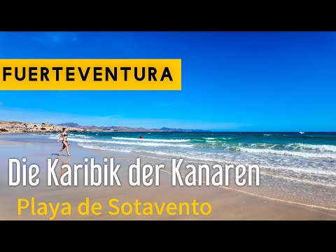 Overwintering in the Canary Islands 🇮🇨 Playa de Sotavento Jandia Fuerteventura in January