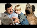 O Natal De Dinnis O Pimentinha Filme De Natal Para Você Assistir Com A Sua Família Feliz Natal