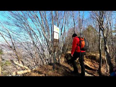 Monte di Ragogna La mulattiera militare, CAI 813. la grande guerra. Seconda parte