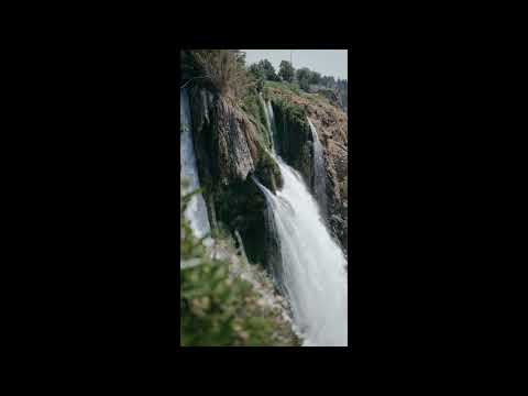 Gurman Sandhu Banni sandhu Gurlez Akhter