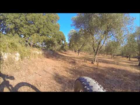 Fuori di Ruota a Tiggiano - Andrano