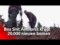 20.000 nieuwe bomen maken bos beter bestand tegen droogte