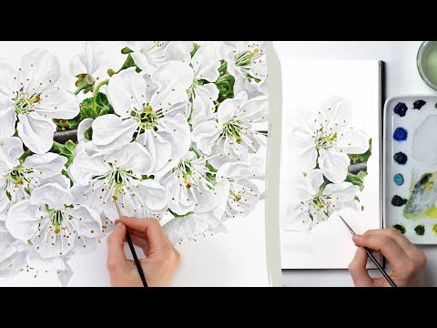 How to paint white flowers in watercolor with Anna Mason