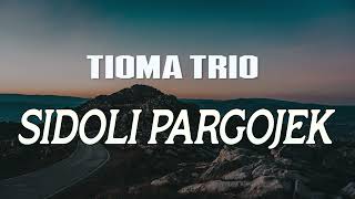 Download lagu TIOMA TRIO - Sidoli Pargojek (Lirik dan Artinya) mp3