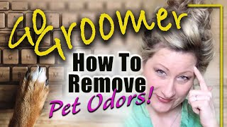 How to remove Pet Odors! Smelly Dog Ears., skin and breath.