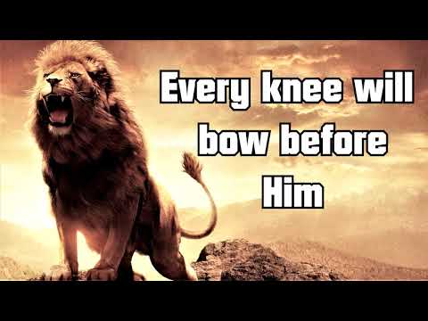 Lion And The Lamb