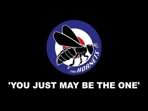 The Hornets - You Just May Be The One (R.I.P. Mike Nesmith)