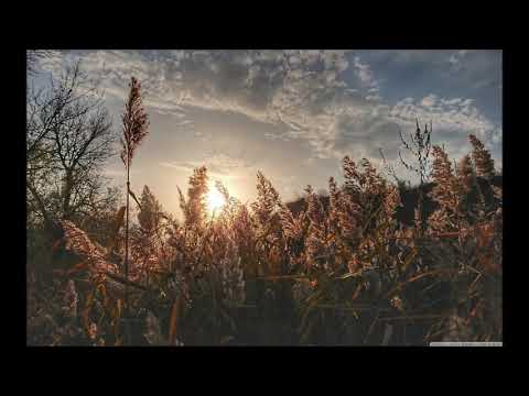 Eden Spania - Din nou rasuna