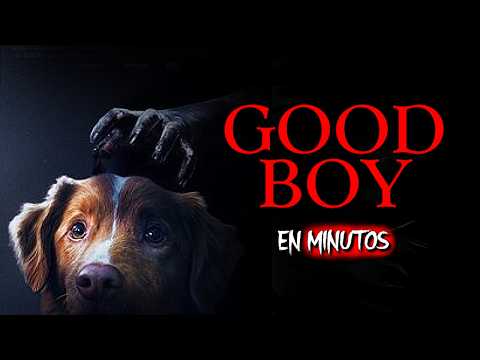 🐺 Terror en cuatro patas: tráiler de Good Boy, la película con un perro protagonista