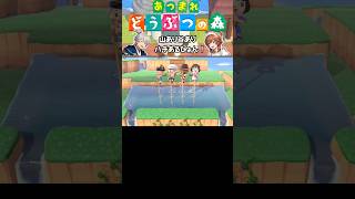 【あつ森】山あり谷ありハチあるぴょん！ #acnh  #shorts #あつ森 #あつまれどうぶつの森 #animalcrossing