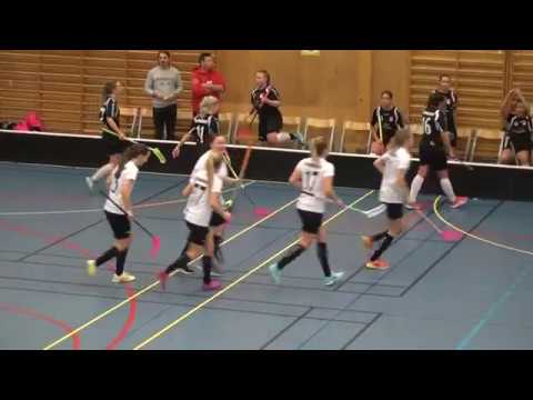 18/2-18 Damer Div.1 VGR Kärra  - Lindås (2-6) Per1b