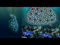 Finding Nemo Part 8