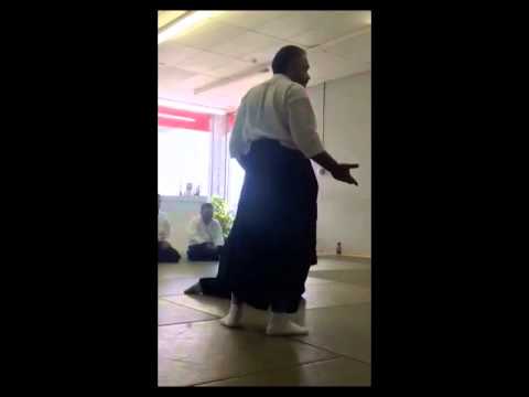 DAITORYU AIKIJUJUTSU principles.