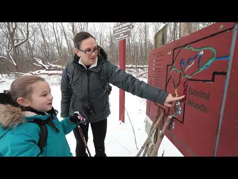 Winter Fun in Kenosha, WI
