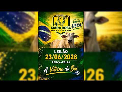 MARA ROSA LEILÕES - GOIÁS - LEILÃO DE GADO DE CORTE 23/06/2026