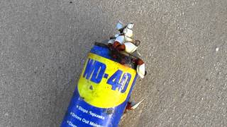 preview picture of video 'Unknown sea creatures living on a can of WD-40'
