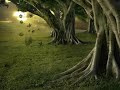 LIVE TAMIL Playlist Hit Non Stop Live Song VENUS VFX CREATION LIVE NOW