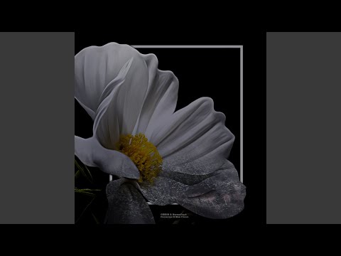 Video thumbnail for Посмотри в мои глаза (Look into my eyes)