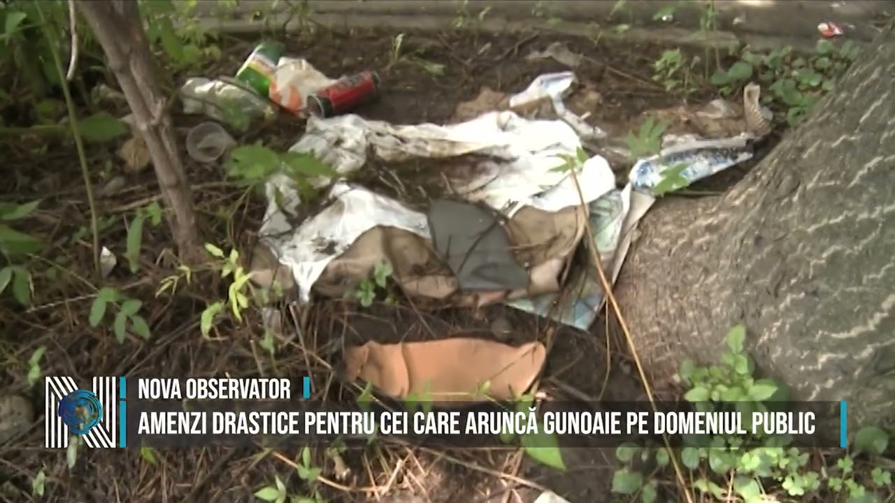 Amenzi drastice pentru cei care aruncă gunoaie pe domeniul public