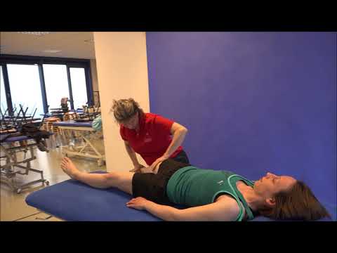 D1 Bein Flex, Add, Aro