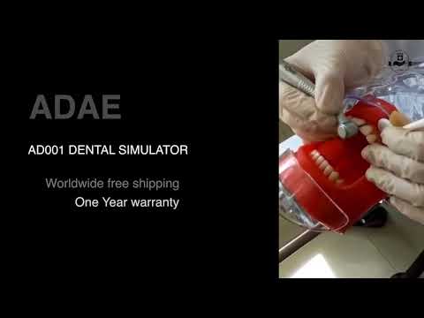 AD001 dental simulator