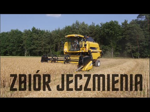 🇵🇱 "Koszenie jęczmienia" ™ ||new holland|| & ||ursus||