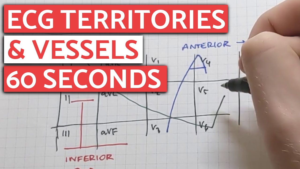 ECG/EKG Territories Made Easy - Learn In 60 SECONDS! (Hooper's Trick) #shorts