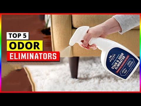 Best Odor Eliminator 2022 - Top 5 Picks
