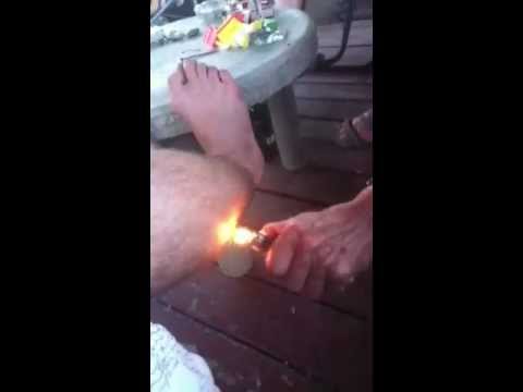 download lagu mp3 mp4 Blackbachelor Grandma, download lagu Blackbachelor Grandma gratis, unduh video klip Blackbachelor Grandma