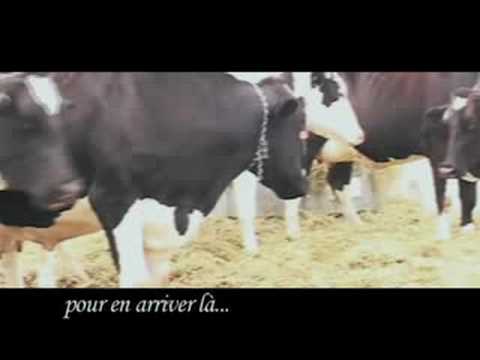 © Dirty Taz • PUPLICITÉ // "L'idiot du village" en vente partout // [Prod. Koriass]