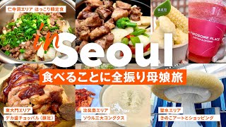 ［ Sub｜聖水｜東大門｜仁寺洞 ］胃弱母娘・おいしく食べる3日間モデルコース｜相鉄スプラジール東大門｜満足五香チョッパル｜コングクス｜晋州チッ｜オリヤン購入品｜肌管理｜トマ｜韓定食｜明洞｜汝矣島