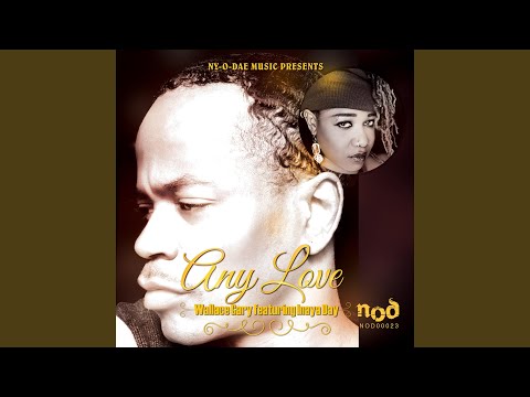 Any Love (feat. Inaya Day) (Lucius Lowe Remix)