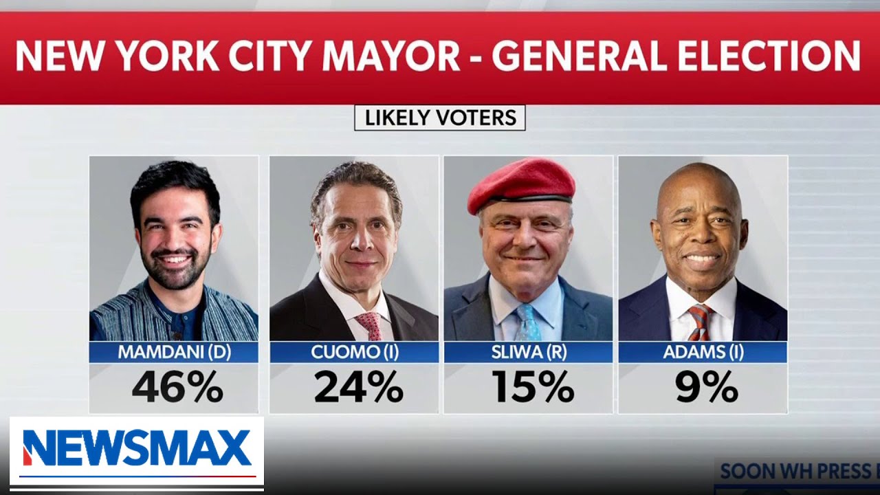 Mamdani is still under 50 percent in NYC, drop outs would help: Bluey | Newsline