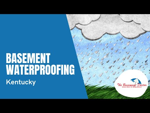 Basement Waterproofing Ad | The Basement Doctor of Central Kentucky