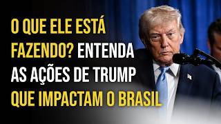 Genius or madman? What is Trump's plan for the United States? | Bruno Musa