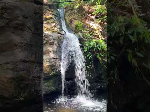 jutiapa cabañas 🇸🇻🫶