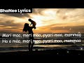 LYRICAL MERI MAA LYRICS Dasvidaniya Songs Kailash Kher Songs BhaNee LYRICS