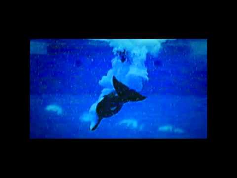 'Blackfish' - Trailer 2013