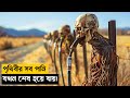 Young Ones Movie Explained In Bangla SurvivalNew Mnd Story