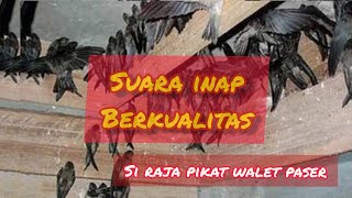 Download lagu SUARA INAP RAJA PIKAT WALET ANAK SENJA ORIGINAL mp3 Download lagu SUARA INAP RAJA PIKAT WALET ANAK SENJA ORIGINAL mp3