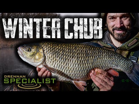Chub Fishing | Daniel Woolcott | Roving On The Hampshire Avon