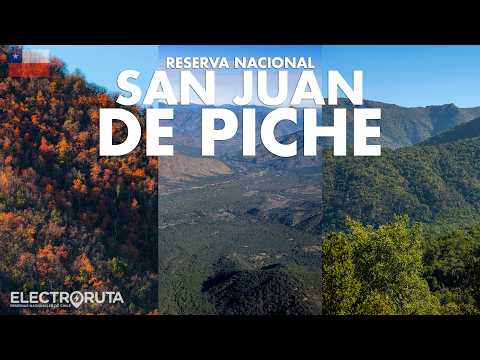 Los Bosques más Bellos de Santiago | San Juan de Piche | Reservas Nacionales de Chile 38/48