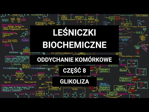 GLIKOLIZA cz. 8 ‐ Synteza 3-fosfoglicerynianu = pozyskanie ATP oraz ważna reakcja dla erytrocytów