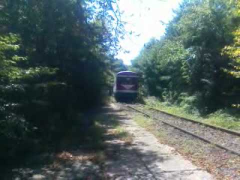 PM 15239 Cordau h. - Baile Felix hc. - Oradea 22.08.2011