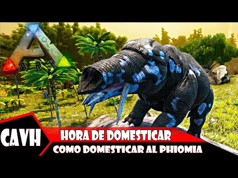 Ark survival evolved ¿Cómo tamear phiomia? ¿cómo domesticar la phiomia? ¿para qué sirve la phiomia?