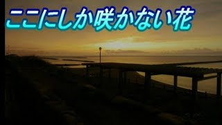 ここにしか咲かない花 Mp3 أغاني Mp3 مجانا