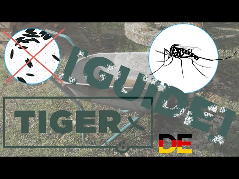 Tigermücken Prävention - Schubkarre [TIGER Guide]